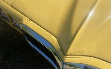 Unknown-Firebird-1969-Yellow-Gold-1