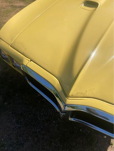 Unknown-Firebird-1969-Yellow-Gold-1