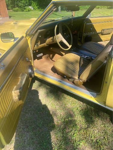 Unknown-Firebird-1969-Yellow-Gold-11
