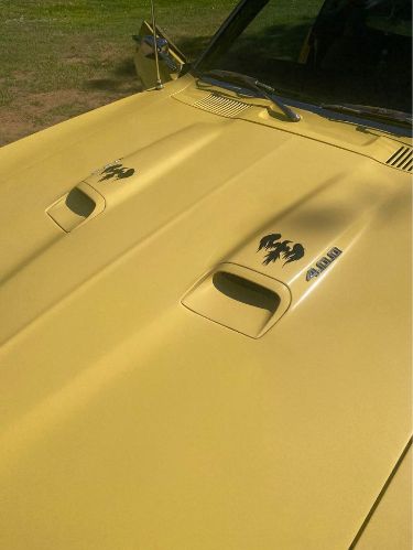 Unknown-Firebird-1969-Yellow-Gold-14