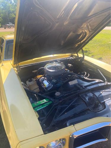 Unknown-Firebird-1969-Yellow-Gold-17