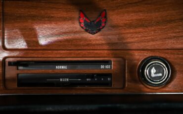 Unknown-Firebird-1970-Palladium-Silver-Black-21