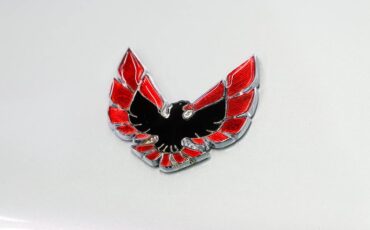 Unknown-Firebird-1970-Palladium-Silver-Black-39