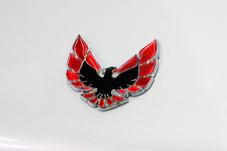 Unknown-Firebird-1970-Palladium-Silver-Black-39