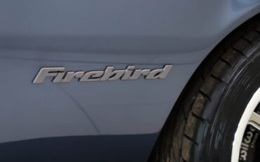 Unknown-Firebird-1972-Deep-Slate-Gray-Black-22