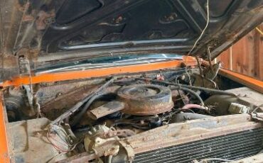 Unknown-Fleetwood-1965-Orange-off-White-3