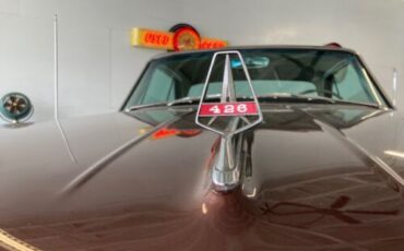 Unknown-Fury-1964-Chestnut-Metallic-Copper-14