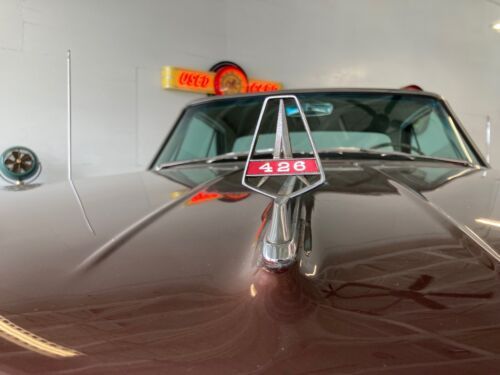 Unknown-Fury-1964-Chestnut-Metallic-Copper-14