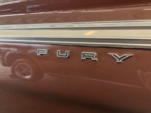 Unknown-Fury-1964-Chestnut-Metallic-Copper-18