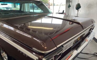 Unknown-Fury-1964-Chestnut-Metallic-Copper-19