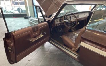 Unknown-Fury-1964-Chestnut-Metallic-Copper-22