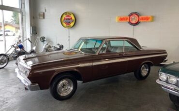 Unknown-Fury-1964-Chestnut-Metallic-Copper-24
