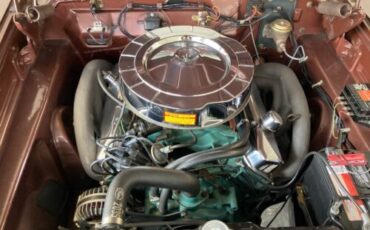 Unknown-Fury-1964-Chestnut-Metallic-Copper-4