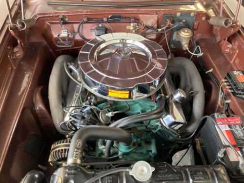 Unknown-Fury-1964-Chestnut-Metallic-Copper-4