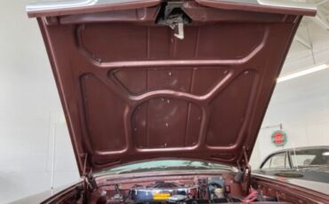 Unknown-Fury-1964-Chestnut-Metallic-Copper-5