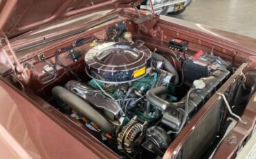 Unknown-Fury-1964-Chestnut-Metallic-Copper-8