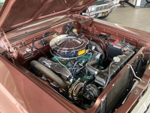 Unknown-Fury-1964-Chestnut-Metallic-Copper-8