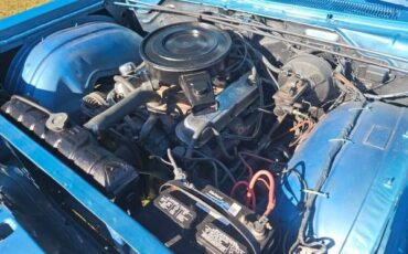 Unknown-Fury-1968-Blue-Blue-7