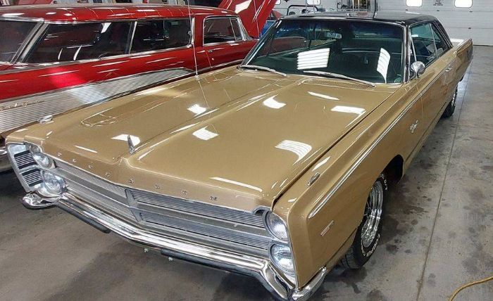Unknown-Fury-iii-1967-Custom
