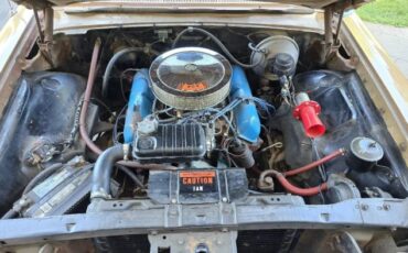 Unknown-Galaxie-1964-Brown-2