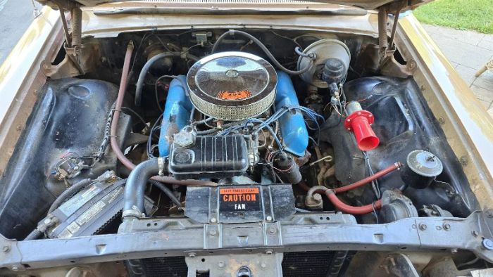 Unknown-Galaxie-1964-Brown-2