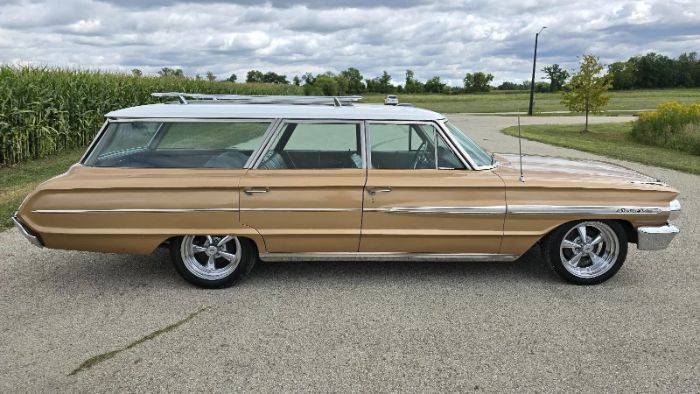 Unknown-Galaxie-1964-Brown-6