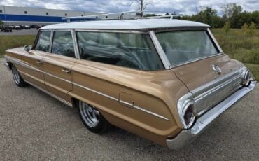 Unknown-Galaxie-1964-Brown-8