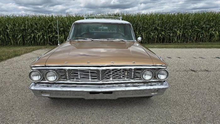 Unknown-Galaxie-1964-Brown-9