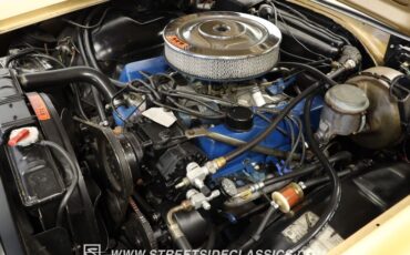 Unknown-Galaxie-1966-Med-Palomino-Met.-Tan-36