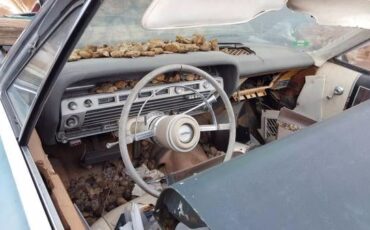 Unknown-Galaxie-1967-1