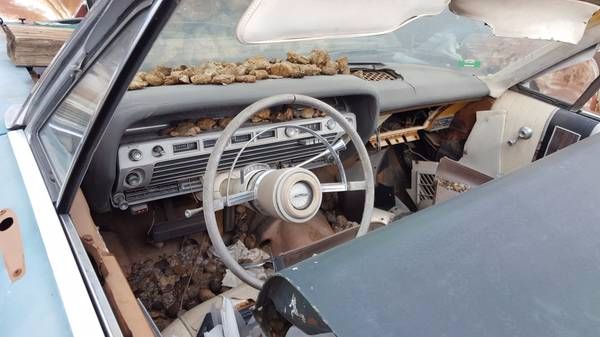 Unknown-Galaxie-1967-1