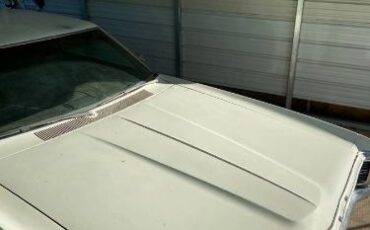 Unknown-Galaxie-1971-White-Brown-14