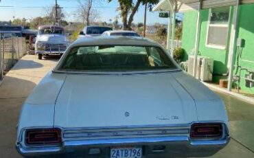 Unknown-Galaxie-1971-White-Brown-18