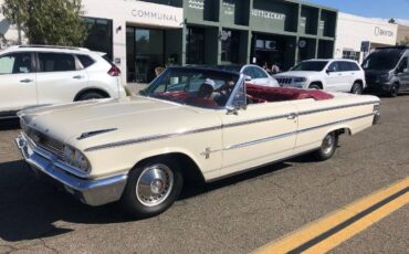 Unknown-Galaxie-500-1963-Custom