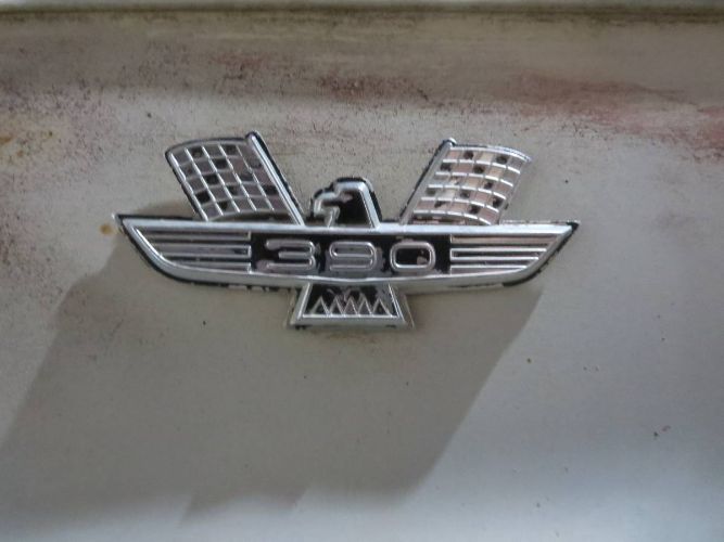 Unknown-Galaxie-500-1963-White-20