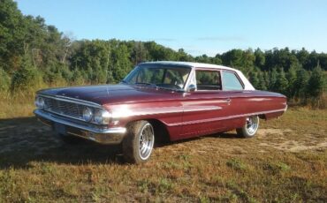 Unknown-Galaxie-500-1964