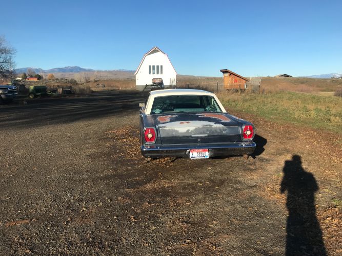 Unknown-Galaxie-500-1965-1