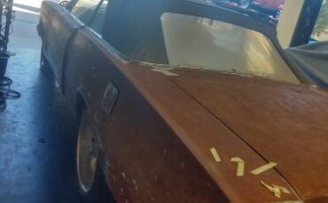 Unknown-Galaxie-500-1965-7
