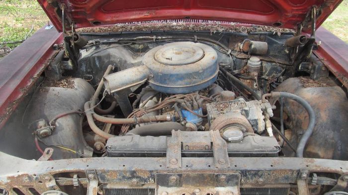 Unknown-Galaxie-500-1965-Red-1