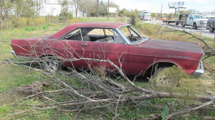 Unknown-Galaxie-500-1965-Red-5