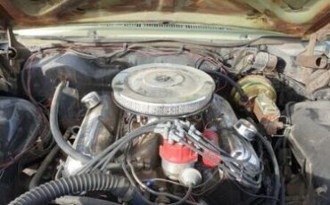 Unknown-Galaxie-500-1967-Green-Green-3