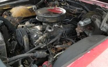 Unknown-Galaxie-500-1968-Red-7