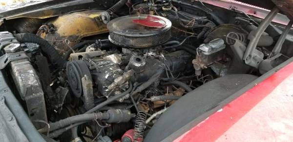 Unknown-Galaxie-500-1968-Red-7