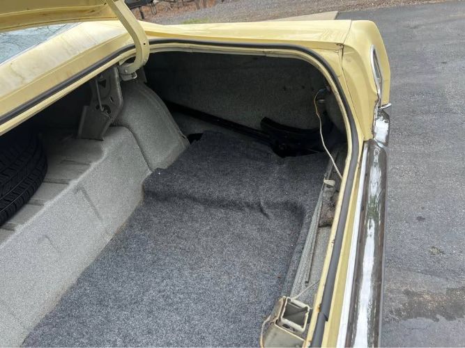 Unknown-Galaxie-500-1968-Yellow-Black-16