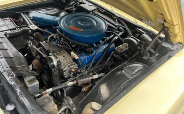 Unknown-Galaxie-500-1968-Yellow-Black-27