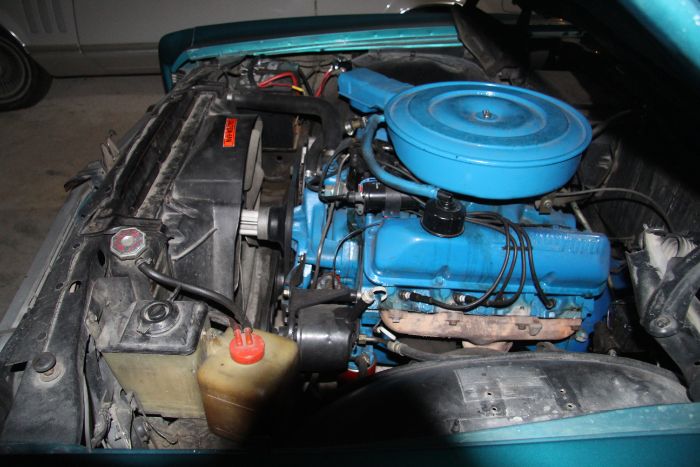 Unknown-Galaxie-500-1969-7