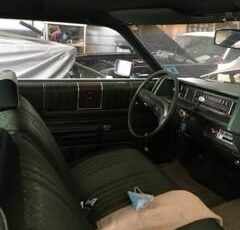 Unknown-Galaxie-500-1971-1