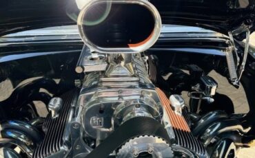 Unknown-Gasser-1955-Black-Brown-2