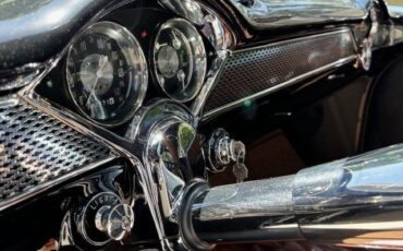 Unknown-Gasser-1955-Black-Brown-7