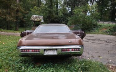 Unknown-Gran-fury-1971-Brown-1